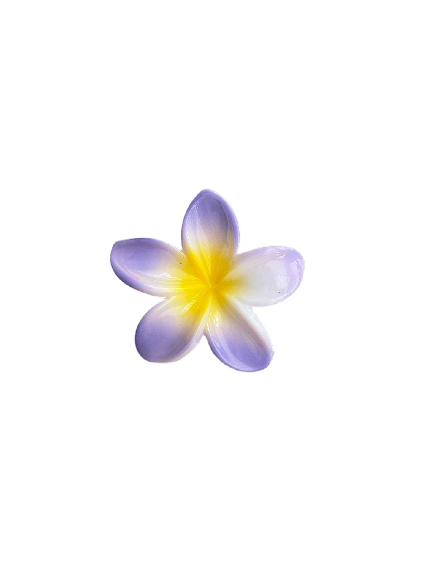 Hawaiian Clip 12 Colors