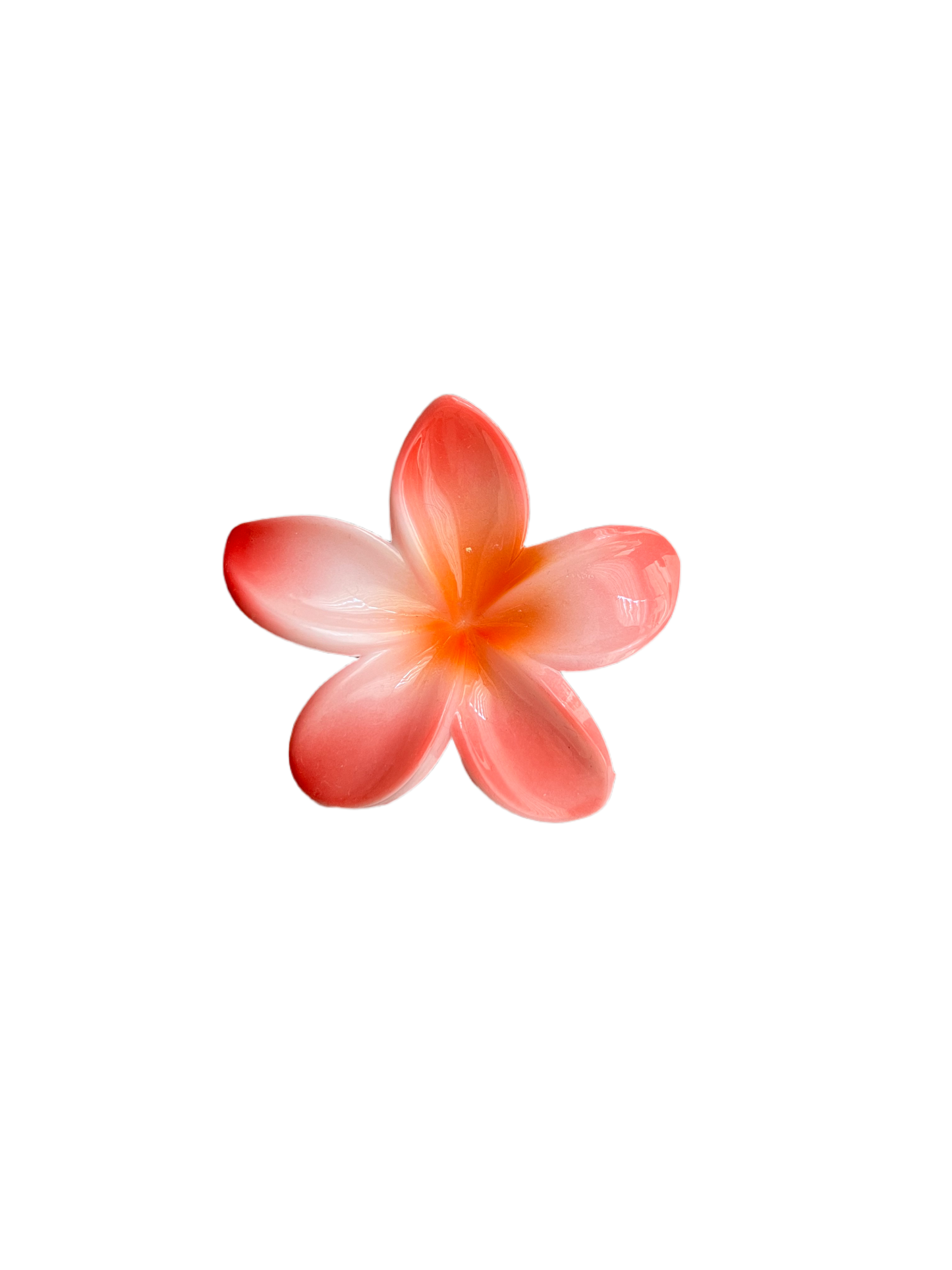 Hawaiian Clip 12 Colors