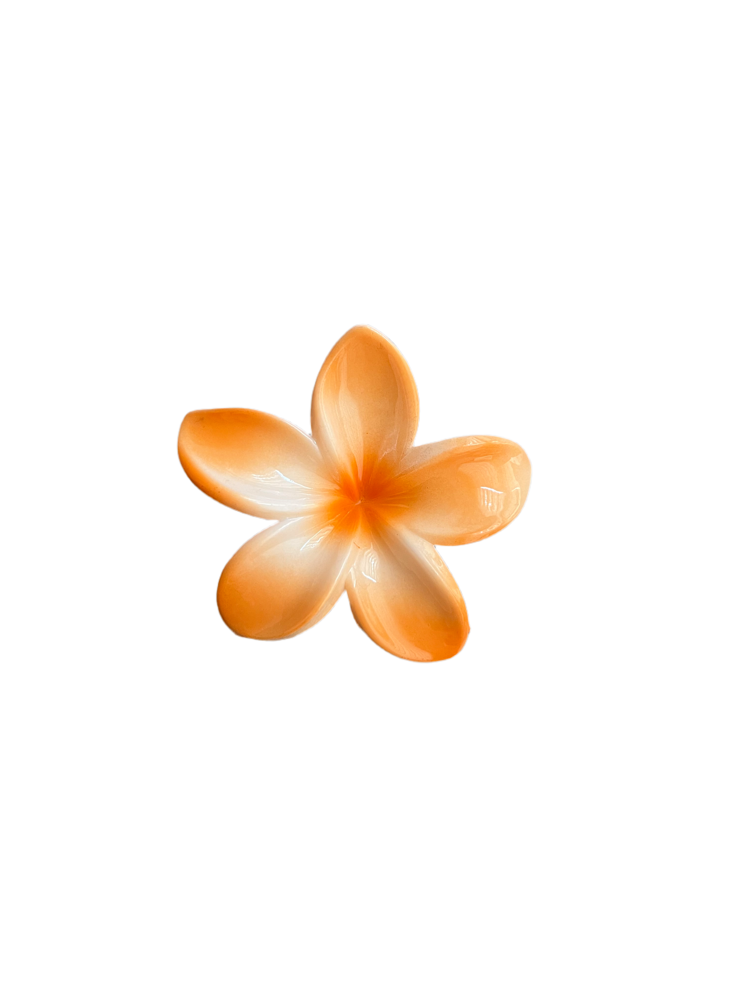 Hawaiian Clip 12 Colors