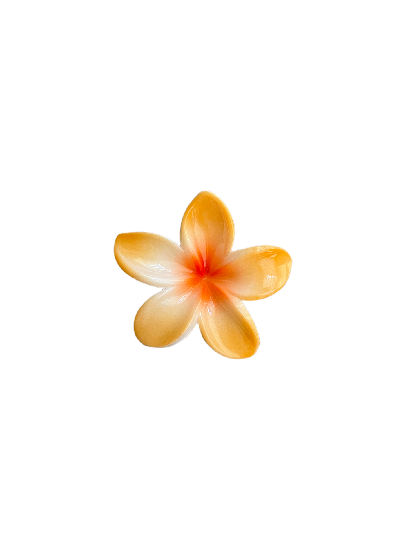 Hawaiian Clip 12 Colors
