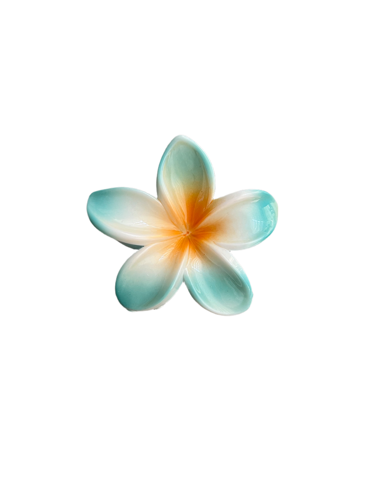 Hawaiian Clip 12 Colors