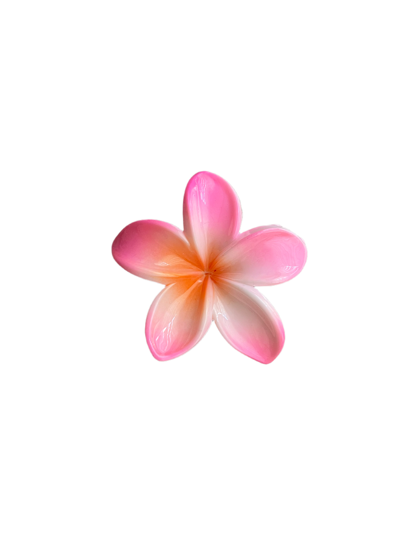Hawaiian Clip 12 Colors
