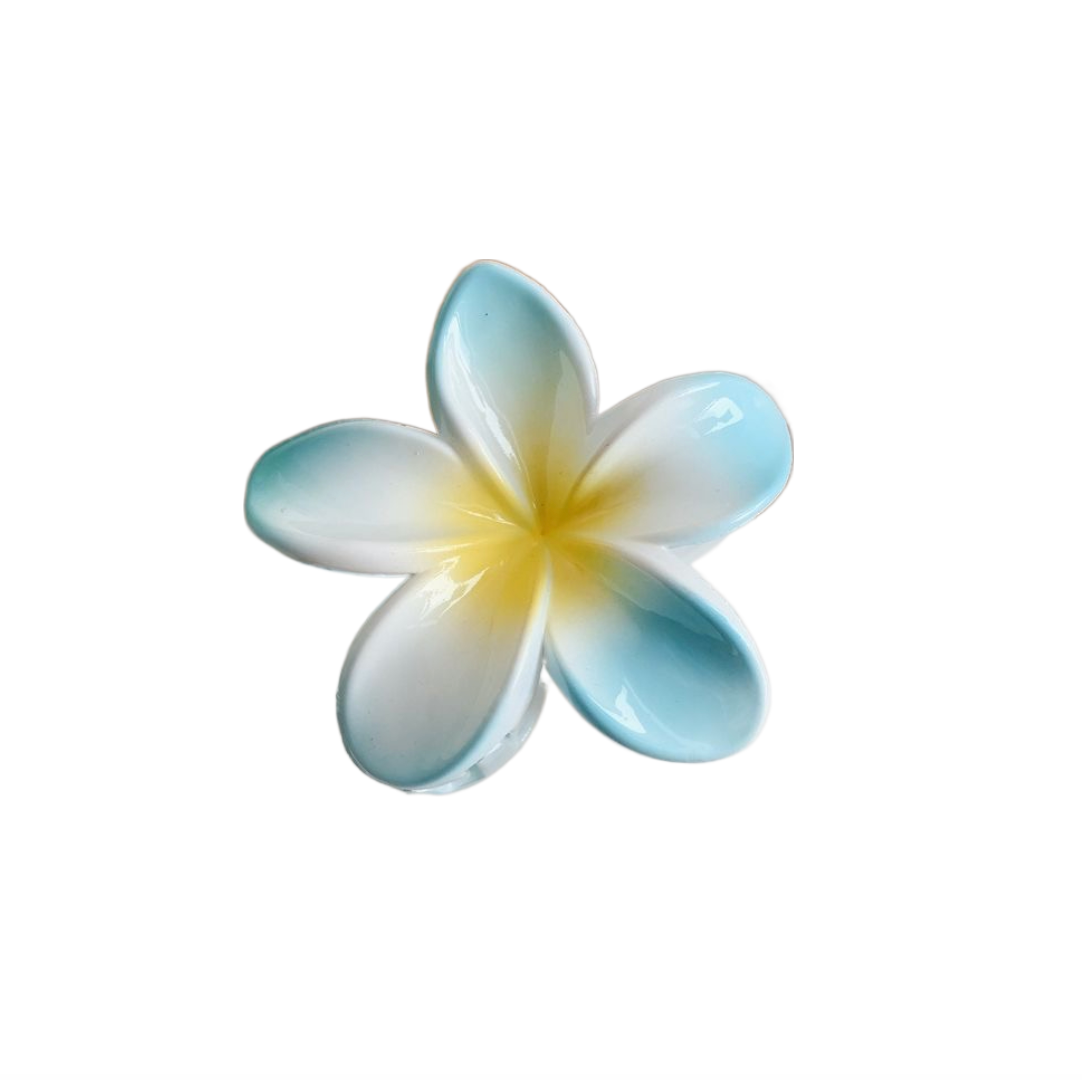 Hawaiian Clip 12 Colors