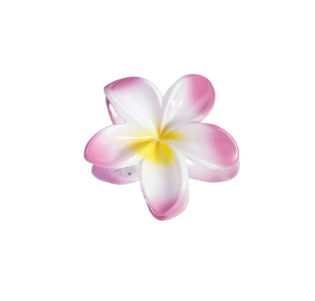 Hawaiian Clip 12 Colors