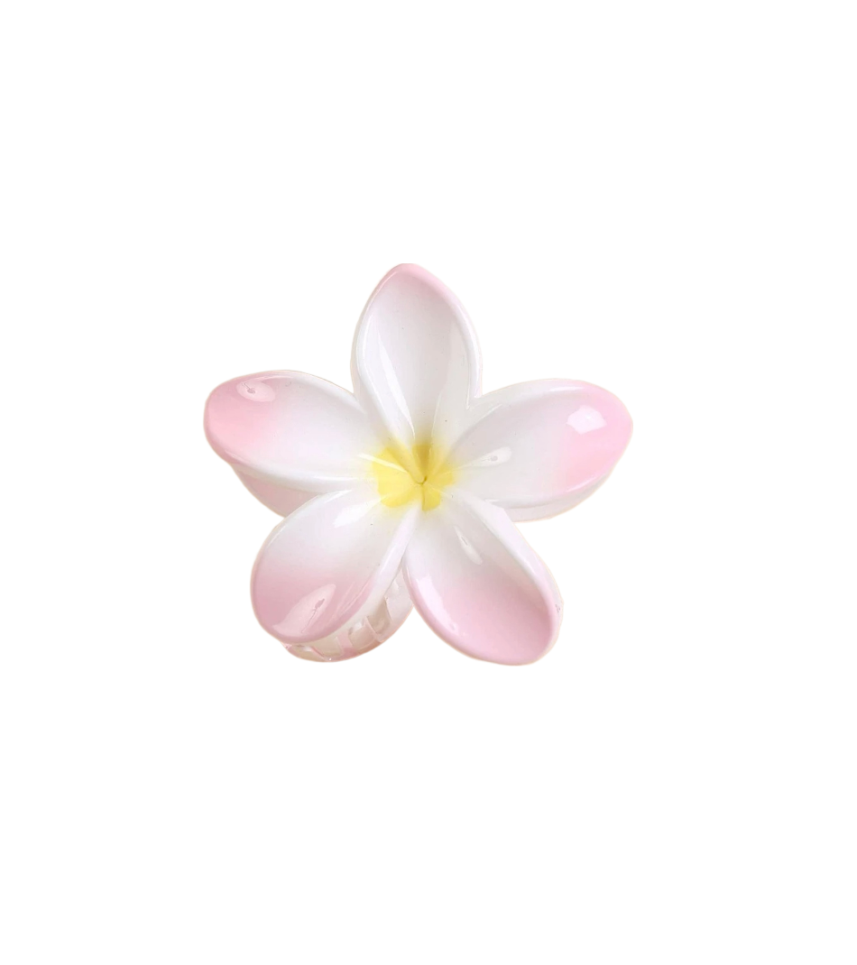 Hawaiian Clip 12 Colors