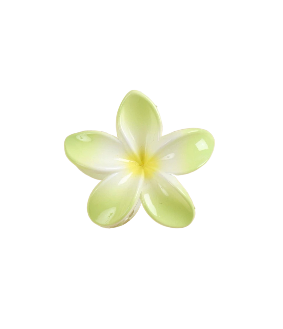 Hawaiian Clip 12 Colors