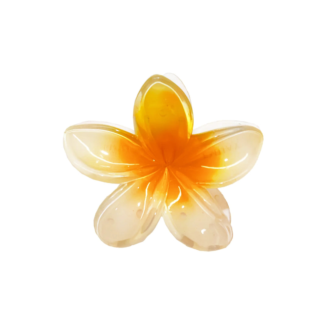 Plumeria Clip In Citrus