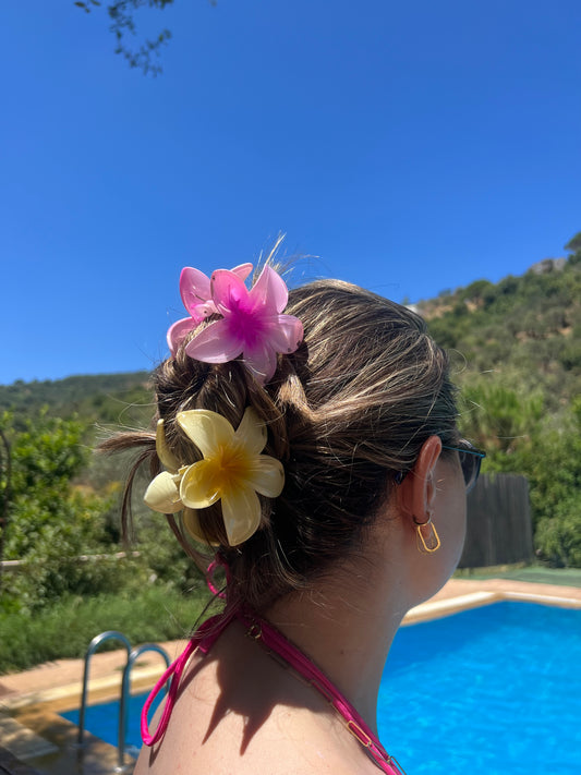 Plumeria Clip 9 Colors