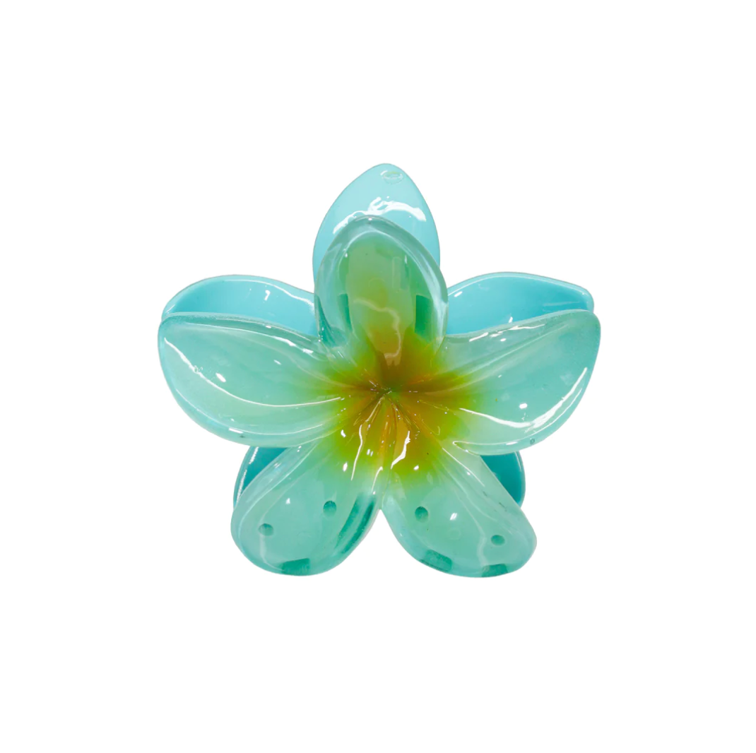 Plumeria Clip In Hawaii